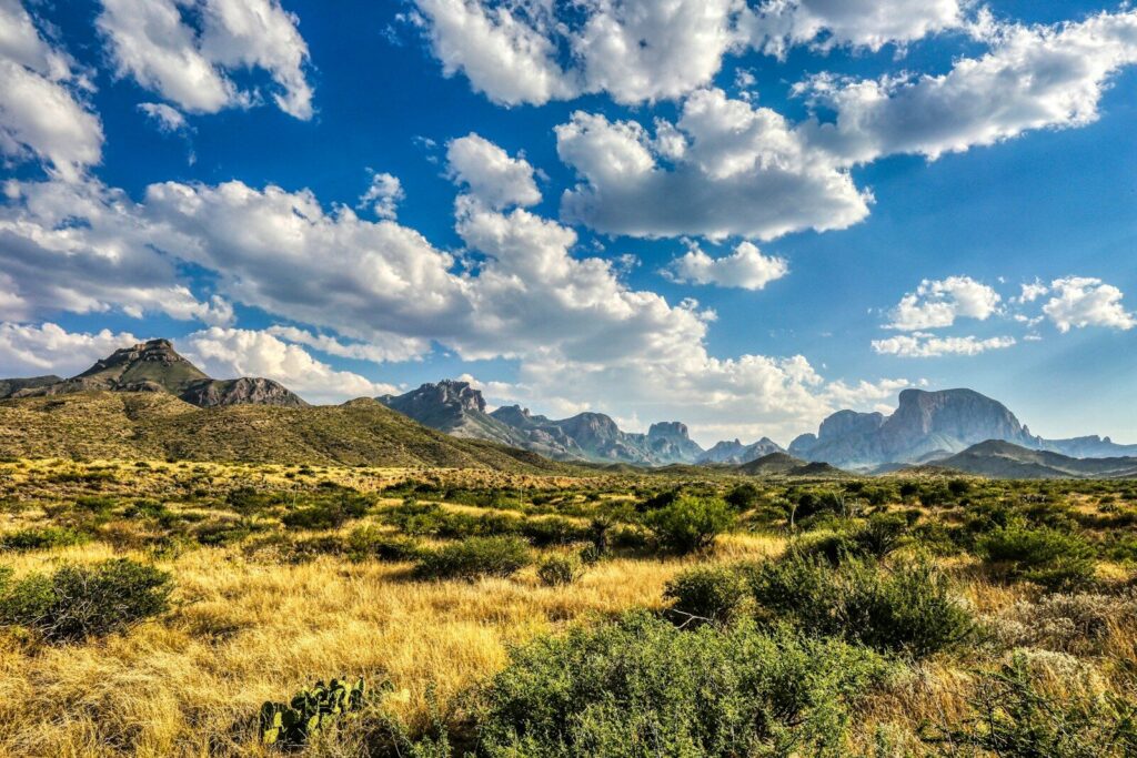 Ranch management houston