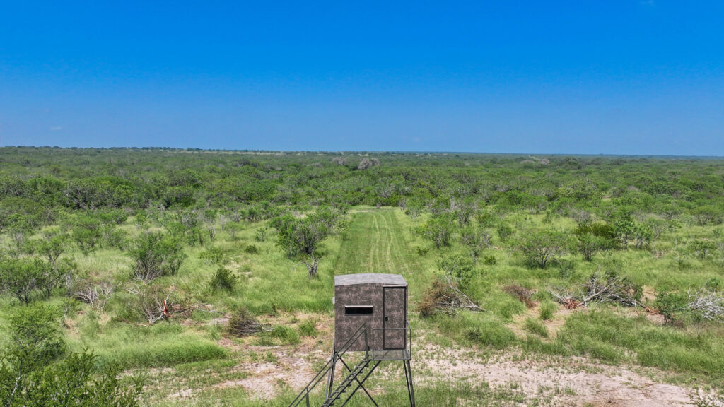 hunting land brush clearing