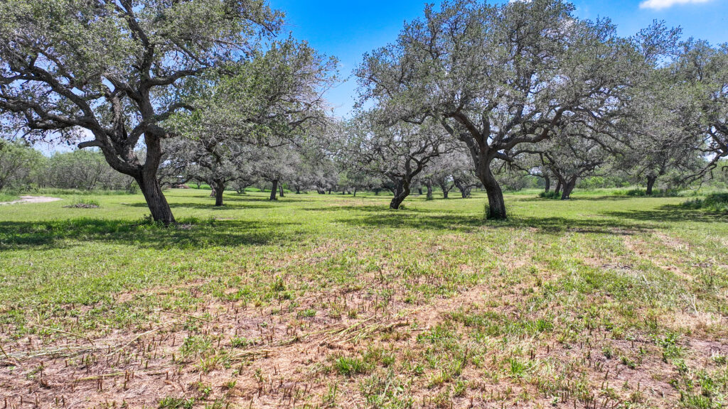 ranch habitat restoration