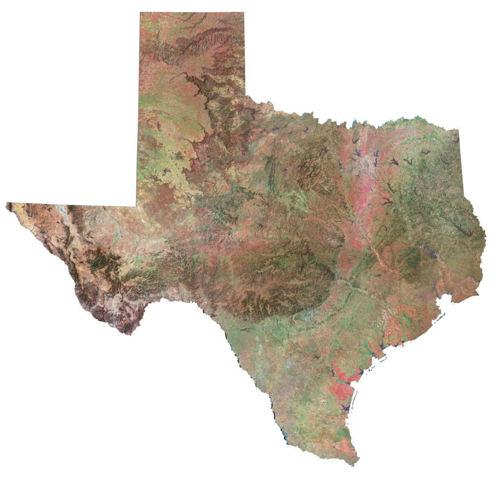 raines development ranch management